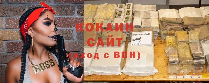 COCAIN Fish Scale  как найти закладки  Чишмы 